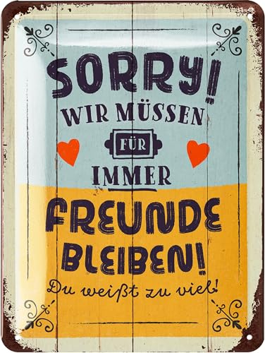 LANOLU Retro Blechschild WIR MÜSSEN FREUNDE BLEIBEN, vintage Metallschilder mit Sprüchen, Shabby Chic Deko Küche und Garten, lustige Schilder aus Metall 15x20cm