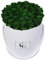 EG EMMIE GRAY Classic Infinity Rosebox | Round | L | White – Rosenanzahl: 34 ± 2 Infinity Rosen mit langjähriger Haltbarkeit, echte Rosen die bis zu 3 Jahre blühen, konservierte Rosen (Emerald Green)