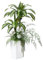 VeriNatural Dracaena Artificiel 120 cm - Plante Artificielle Intérieur Extérieur avec Pot Conique Blanc et 6 Fausses Plantes, Résistante UV - Arbre Artificiel Décoration Maison Bureau Jardin, VN151