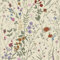 Murgall Selbstklebende Tapete 44x1200cm Bauernhof Blumentapete Vinyl Klebefolie Tapete Wildwood Tapete Gänseblümchen Selbstklebende Aufklebetapete Wand Stick Ablösbar Tapete