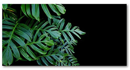 Tulup Acrylglas - Wandkunst - Bild auf Acrylglas Deko Wandbild hinter Kunststoff/Acrylglas Bild - Dekorative Wand für Küche & Wohnzimmer 100 x50 cm - Blumen & Pflanzen - Fensterblatt - Grün