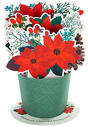 Hallmark Weihnachtskarte – Traditionelle 3D-Pop-Up-Weihnachtsstern-Design, Rot