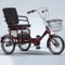 DSeenLeap 16-Zoll-Rikscha-Dreirad für Erwachsene, Trike für Senioren, bequemer Sitz in Sofaform aus Schaumstoff mit Armlehne, 3-Rad-Fahrrad, Trike, Speichenräder mit Luftreifen (weinrot, 16 Zoll)