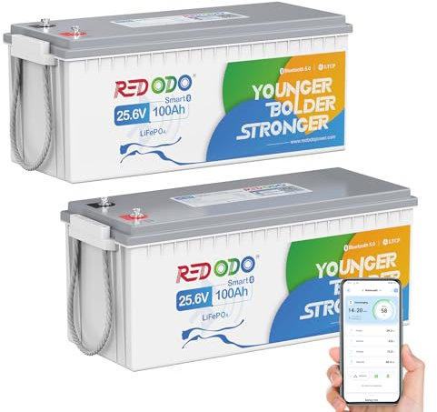 Redodo 24V 100Ah Bluetooth(2 Pack) Batterie Lithium,Batterie LiFePO4 Protection Low-Temp,BMS 100A,2560Wh Parfaite Batterie de Remplacement au Plomb pour Camping-Cars, VR, Caravanes, Solaire