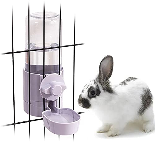 Bouteille d'eau suspendue pour lapin, chat, furet - 500 ml