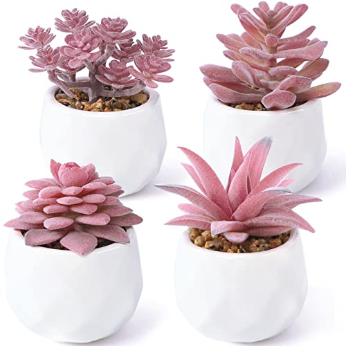 Juego de 4 Plantas suculentas Artificiales, decoración en Maceta sintética, Realista, Mini Plantas suculentas Falsas en macetas, Plantas Falsas para el hogar, Mesa, Oficina, decoración al Aire Libre