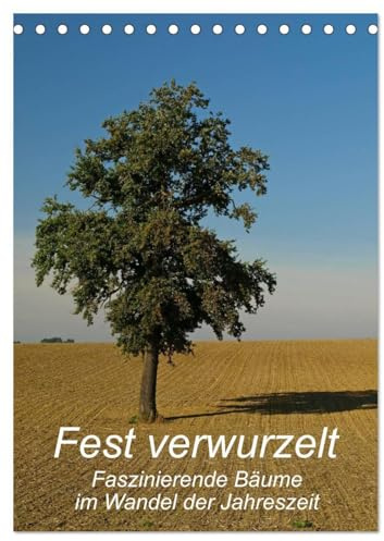 Fest verwurzelt - Faszinierende Bäume im Wandel der Jahreszeit (Tischkalender 2026 DIN A5 hoch), CALVENDO Monatskalender: Kahl oder mit üppigem ... ein eindrucksvoller Anblick (CALVENDO Natur)