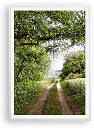 ARTTOR Poster Wandbild Kunstdruck 70x100cm Landschaften Wald - 2637 - P2X | Weg Natur Vertikal ohne Rahmen Wohnzimmer Schlafzimmer Küche Büro Wanddeko Kunstposter ARTTOR