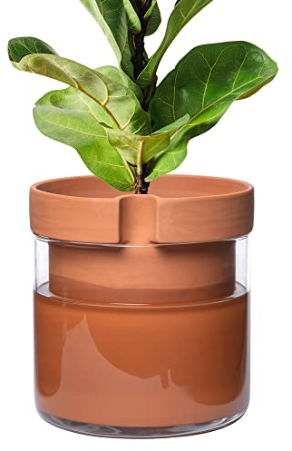 Phoenix Vine 25,4 cm selbstbewässernder Pflanztopf aus Terrakotta-Ton, mit Glasspeicher für Zimmerpflanzen, Kräuter, Blumen, 1er-Set, 52-A-I-1