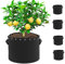 HOSECES 15 Gallon Grow Bags 5-Pack Thickened Breathable Fabric Plant Pots with Holes & Handles- Nonwoven 56 Litre Fabric Plant Container for Plants, Vegetables, Herbs and Fruits