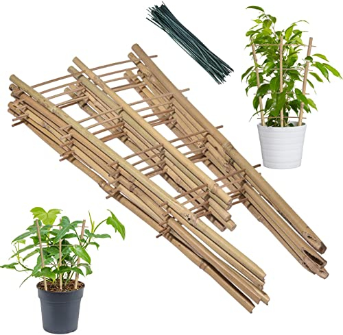 Firulab Bambusspalier | Quadratisches 6er-Pack Rankgitter aus natürlichem Bambus,Bambus-Spalier, Pflanzenstützpfahl Bambus-Pflanzen-Spalier-Garten-Spalier-Unterstützung für Topfpflanzen zum Klettern