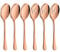 LIANYU 6-Piece Large Copper Serving Spoons, Stainless Steel Copper Slotted Spoons, Rose Gold Serving Utensils for Party Buffet Restaurant Banquet Dinner Catering, Dishwasher Safe, 9.8Inch