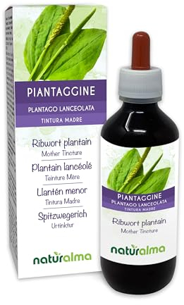 Spitzwegerich oder Lungenblattl (Plantago lanceolata) Blätter Alkoholfreier Urtinktur Naturalma - Flüssig-Extrakt Tropfen 200 ml - Nahrungsergänzungsmittel - Veganer