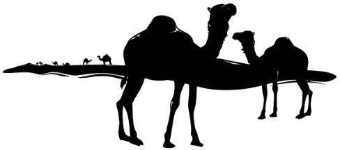 Wandtattoo Wandaufkleber Afrika Wüste Kamele #84b braun 185x 80cm