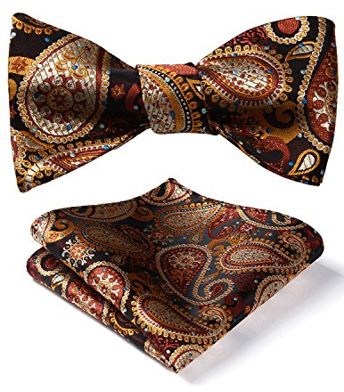 HISDERN Herren Bunt Paisley Taschentuch Hochzeit Jacquard Selbst Fliege & Einstecktuch Set