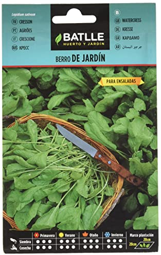 Semillas Batlle Berro JARDIN - Lepidium sativum