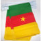 AZ FLAG - Fahnenkette Kamerun 6 Meter Mit 20 Flaggen - 21x14 cm - Kamerunische Girlande Flaggenkette 14 x 21 Cm