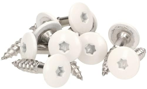 Meisterling® Lot de 100 vis de façade en acier inoxydable V4a Inox, avec tête plate colorée thermolaquée et empreinte Torx T 20 + 1 embout, blanc, blanc