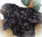 Natur-Fell-Shop Echte Pelzdecke Felldecke Tagesdecke Lammfell braun 160x200cm PD-101