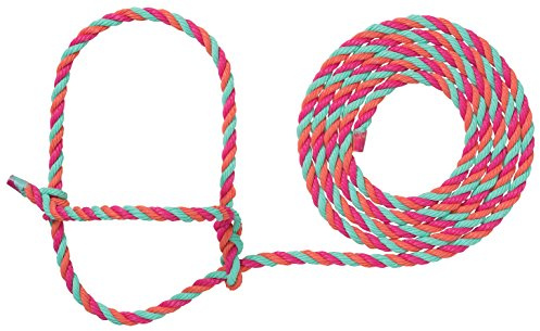 Weaver Leather Livestock Rinderseilhalfter, Hot Pink/Koralle/Mint