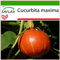 SAFLAX - Kürbis - Japan Hokkaido - 10 Samen - Mit keimfreiem Anzuchtsubstrat - Cucurbita maxima