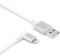 Moshi – Cavo USB aevoe con Lightning connettore da 90 gradi Bianco – Cavo – Digitale/99 mo023128 dati