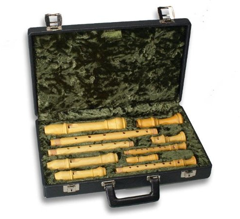 Mollenhauer 7300 Etui (S/S/A/T)