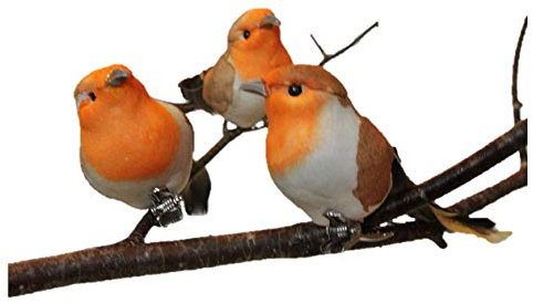 Gisela Graham: 8cm Robin Bird set of 3
