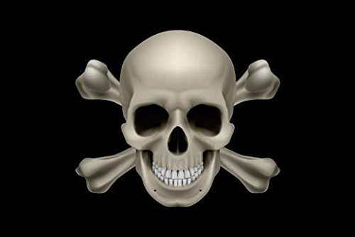U24 Motorradflagge Pirat Totenkopf Fahne Flagge 20 x 30 cm