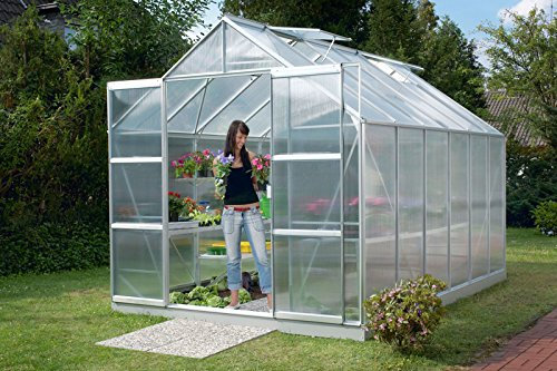 Vitavia Gewächshaus Mars - Ausführung: 9900 HKP 6 mm Alu, Fläche: ca. 9,9 m², Fenster: 2, Maße: 257 x 383 cm, Sockel: 255 x 379 cm,