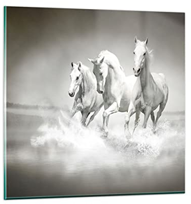 ARTTOR Bilder auf Glas 70x70cm Glasbild Bauernhof pferde galopp freiheit Groß Wanddeko Bild im Glas Schlafzimmer Küche Deko Wandbilder Dekoration Wohnzimmer Modern Wand Kunstdruck Art GAC70x70-2389