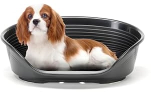 FERPLAST - Hundebett & Katzenbett - Kunststoff-Hundebett Medium - 100% recycelter Kunststoff - Hundebett waschbar - Hundekorb - atmungsaktiv & rutschfest - Siesta Deluxe, 62 x 41 x h 23,5 CM, SCHWARZ