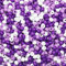 Tibaoffy Crafts Violet Mix Perles 6x9mm, Pony Beads Total Environ 1000pcs