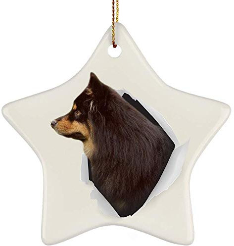 Weihnachtsanhänger Mit Schnur Weihnachtsbaum Deko Keramik Weihnachtsdeko Weihnachtsbaumschmuck Lustiger Finnischer Lapphund Braun Kommt Aus Rissiger Wand