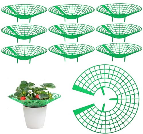 UQTUKO Erdbeerstützen Ständer, 10 Stück Erdbeerreifer Erdbeeren Schutz Erdbeergitter Erdbeeren Pflanzen erdbeerturm Pflanzenständer Erdbeeren vor Staub und Schnecken Schützen