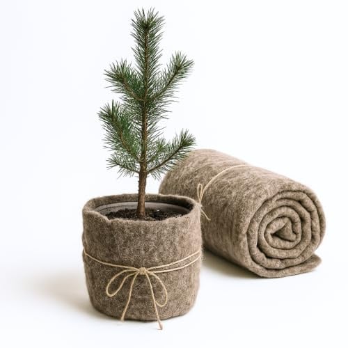 UNIGARDIA Öko-Schafwollmatte, Schneckenschutz & Unkrautvlies 80 x 1000 cm | Biologisch abbaubarer Pflanzenschutz für Hochbeet & Garten, natürliche Schneckenbremse aus 100 % Schafwolle