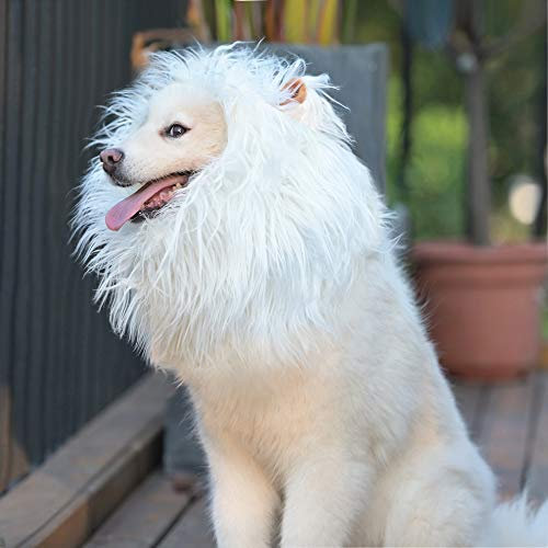 Onmygogo Löwenmähne Perücke für Hunde mit Ohren, lustige Haustierkostüme für Halloween Weihnachten (Größe L, Weiß)