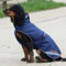 Bucas Therapy Dog Rug - 50 cm