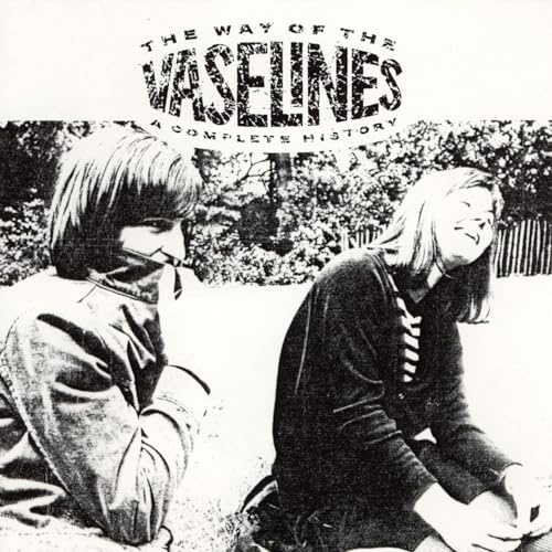 The Way of the Vaselines - a Complete History