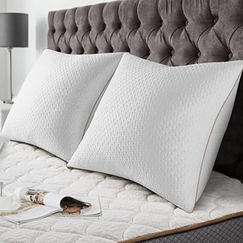 BedStory Kopfkissen 50x50 2er Set mit abziehbarem Bambusfasern Bezug, Antimilben und antibakteriell Kissen aus 600g x 2 Mikrofasern, hypoallergen bequemes Weiches und atmungsaktives Kissen