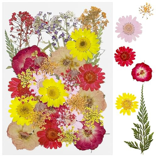 Cayway 40 Stück Getrocknete Gepresste Blätter, Natürliche Getrocknete Blumen, Natürliche Trockene Blätter für DIY Harz Schmuck Nail Crafts Art Blumendekoration, Rosa und Rote Rose