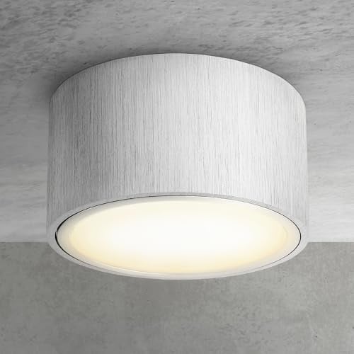 SSC-LUXon CELI-X Spot dimmbar gebürstet Aufbaustrahler flach Alu große Leuchtfläche - Deckenspot mit LED GX53 6W warmweiß 230V