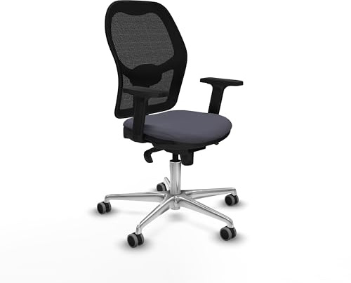 Piqueras y Crespo Ergonomischer Bürostuhl mit fester Rückenlehne, Lendenwirbelstütze 1D, 2D-Arme, Synchronmechanik 5 Positionen, Verwendung 8 Stunden, Maximalgewicht 120 kg, attraktive Farbe
