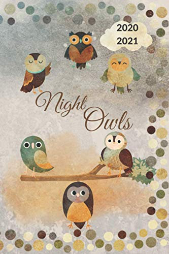 Night Owls 2021 Planer: Terminplaner/ Eulen/ Kalender/ 2020 2021/ Collegetimer / Wochenplaner/ 6 * 9 / Planer/ tolles Geschenk für Frauen, Männer, Freunde oder Kollegen