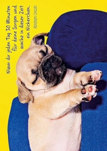 Gutsch Verlag Geburtstagskarte mit Spruch: Mops-Philosophie - Lebensweisheit & Humor, Entspannung Tierpostkarte in Gelb & Blau