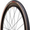 Vittoria 001949