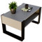 Couchtisch KARO rechteckiger Kaffeetisch aus Holz Modern Teetisch 95 x 53,6 45cm massiv und stabil (Grau/Schwarz), 0012