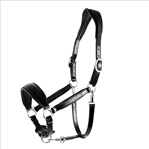 Schockemöhle Sports Lederhalfter SCH_Fremont Größe Warmblut, Farbe schwarz