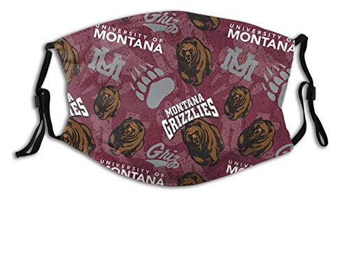 Muuoeou Generatore di Onde Versione Elettromagnetica Frequenza di Risonanza Terrestre 7,83 HZ Pulsatore A Frequenza Molto Bassa