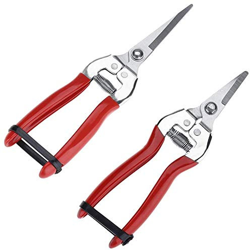 XYDZ 2PCS Obst und Blumenschere, Gartenschere Ernteschere Schneidwerkzeug Edelstahl Kunststoff Griff Straight Blade/Verzogene Klinge für Hand Gartenschere Garten Clippers Flower Schneider - Rot